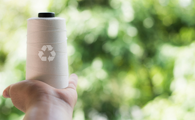La strada verde del filo ecologico